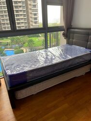 Rivertrees Residences (D28), Apartment #617635111